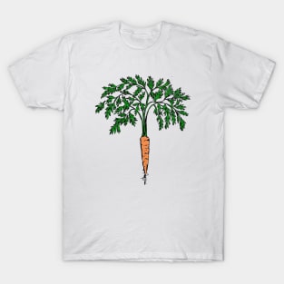 Carrot plant illustration T-Shirt